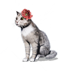 猫猫·竺圆圆图标