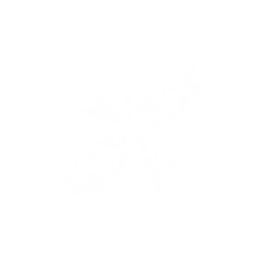 清风霁月图标