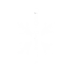 斩雪刀法图标